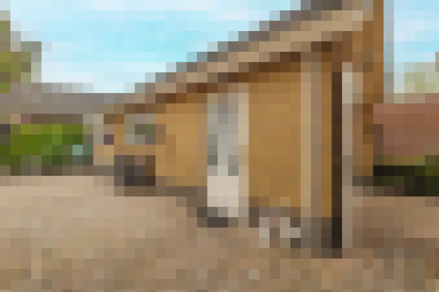 Bergakker 9 Schijf thumbnail 38
