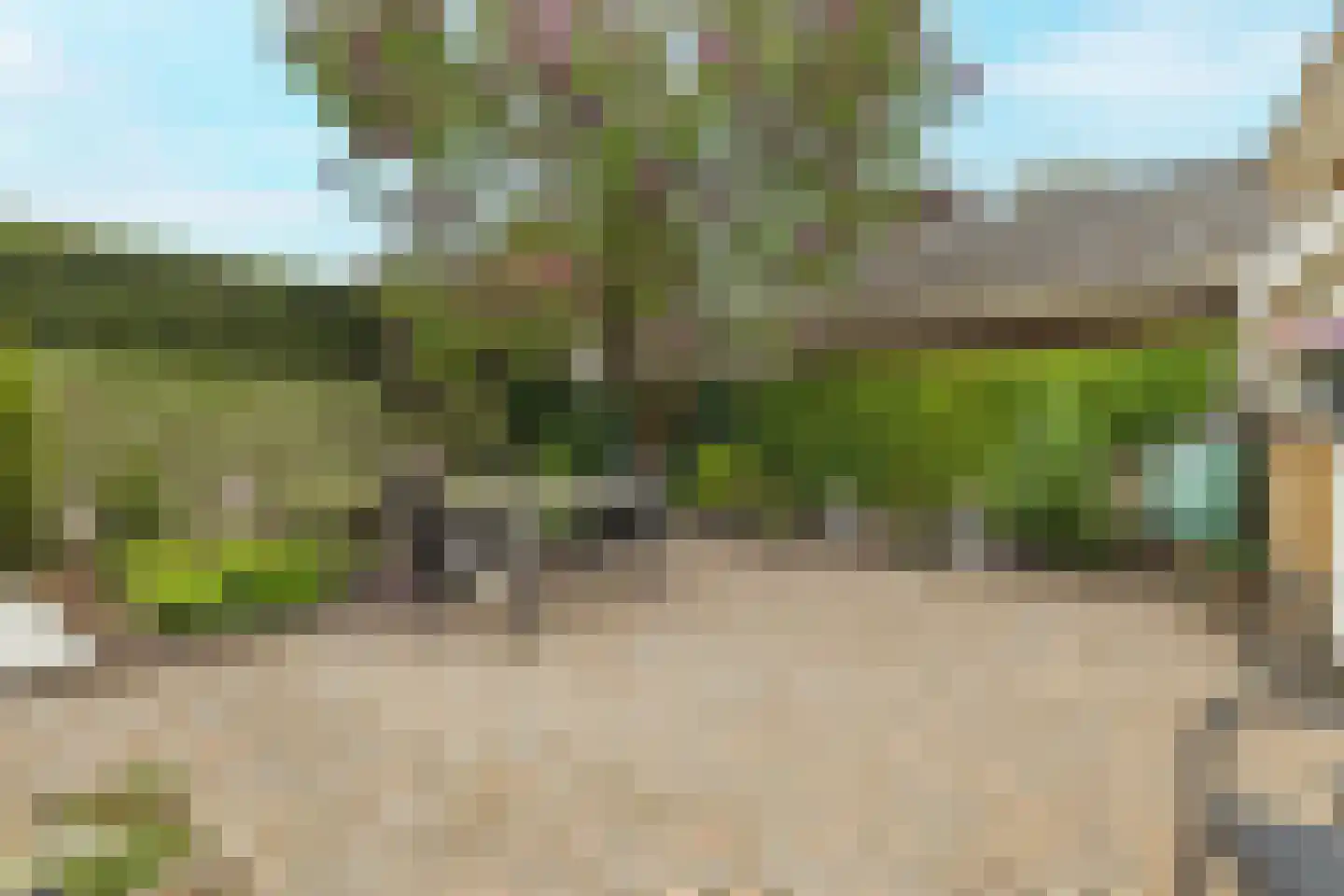Bergakker 9 Schijf thumbnail 41