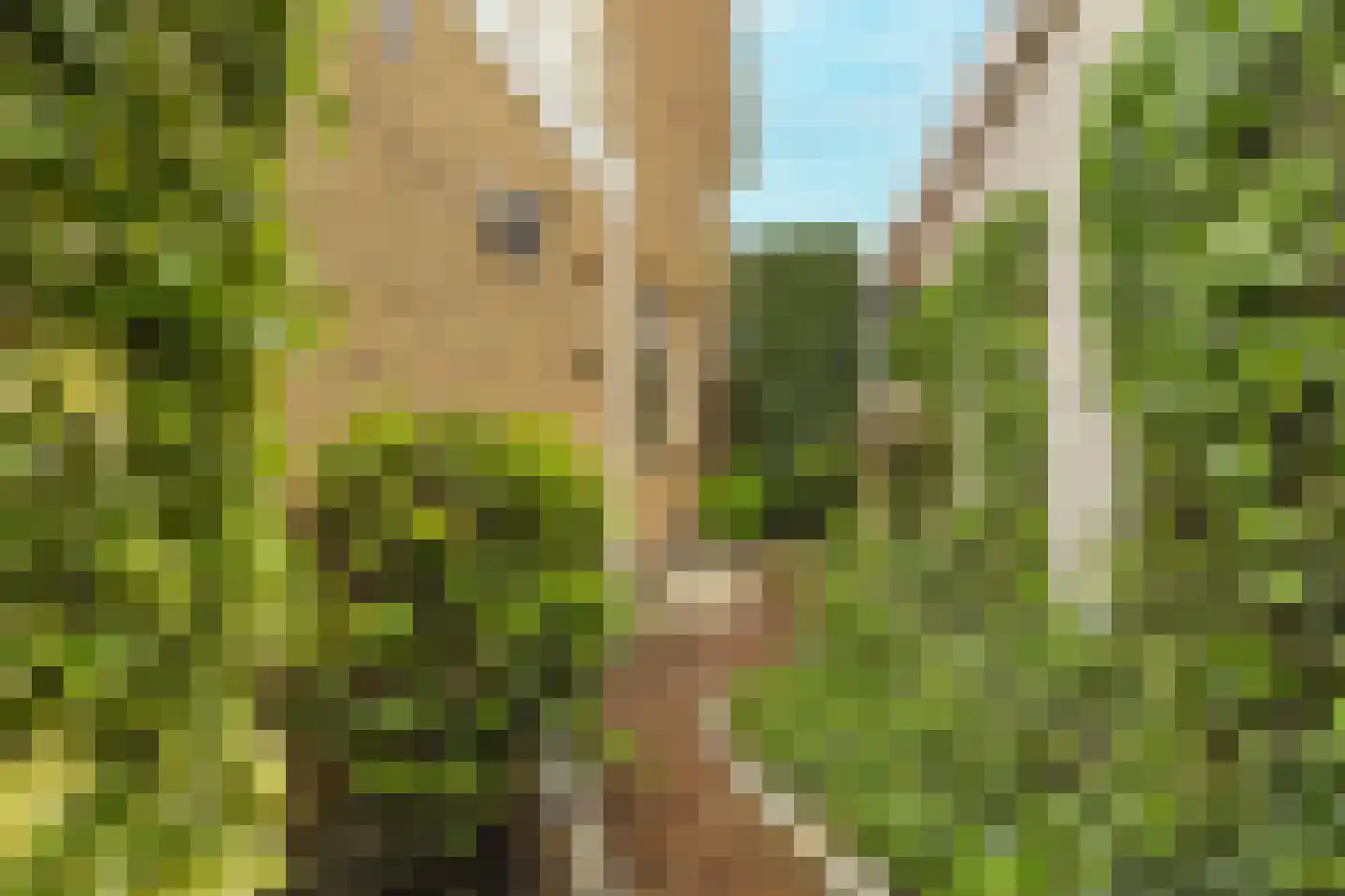 Bergakker 9 Schijf thumbnail 43