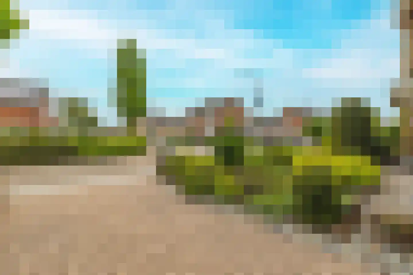 Bergakker 9 Schijf thumbnail 44