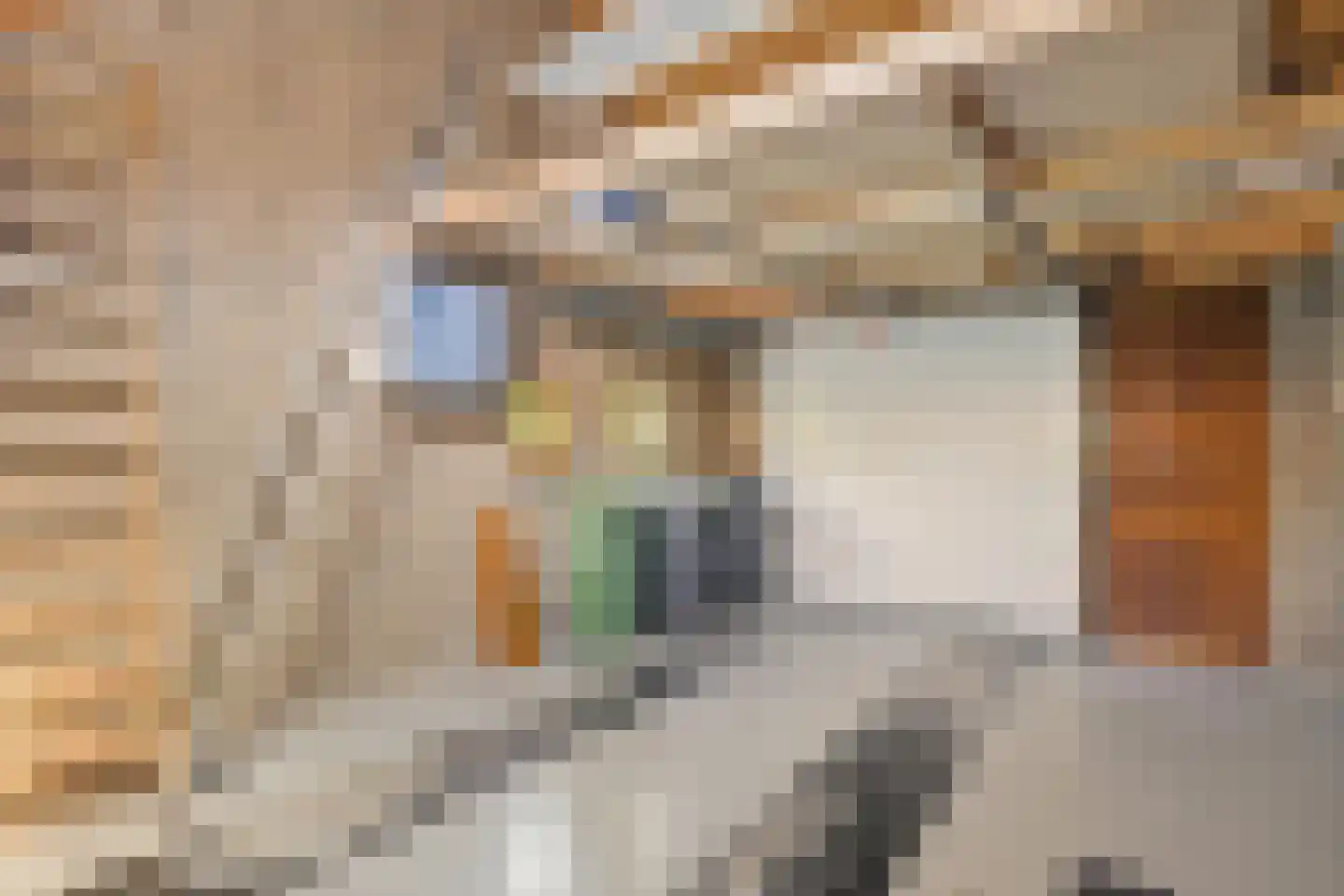 Bergakkers 10 Oosterhesselen thumbnail 21