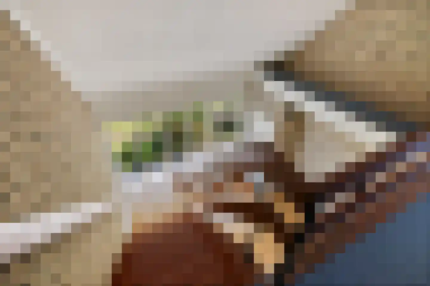 Bergakkers 10 Oosterhesselen thumbnail 29