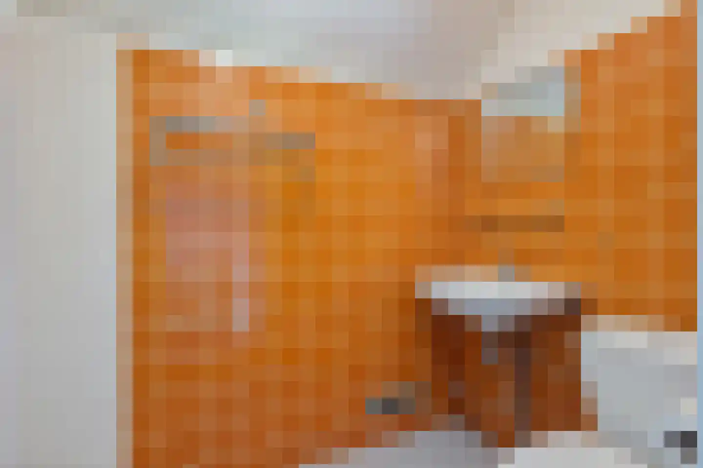 Bergakkers 10 Oosterhesselen thumbnail 37