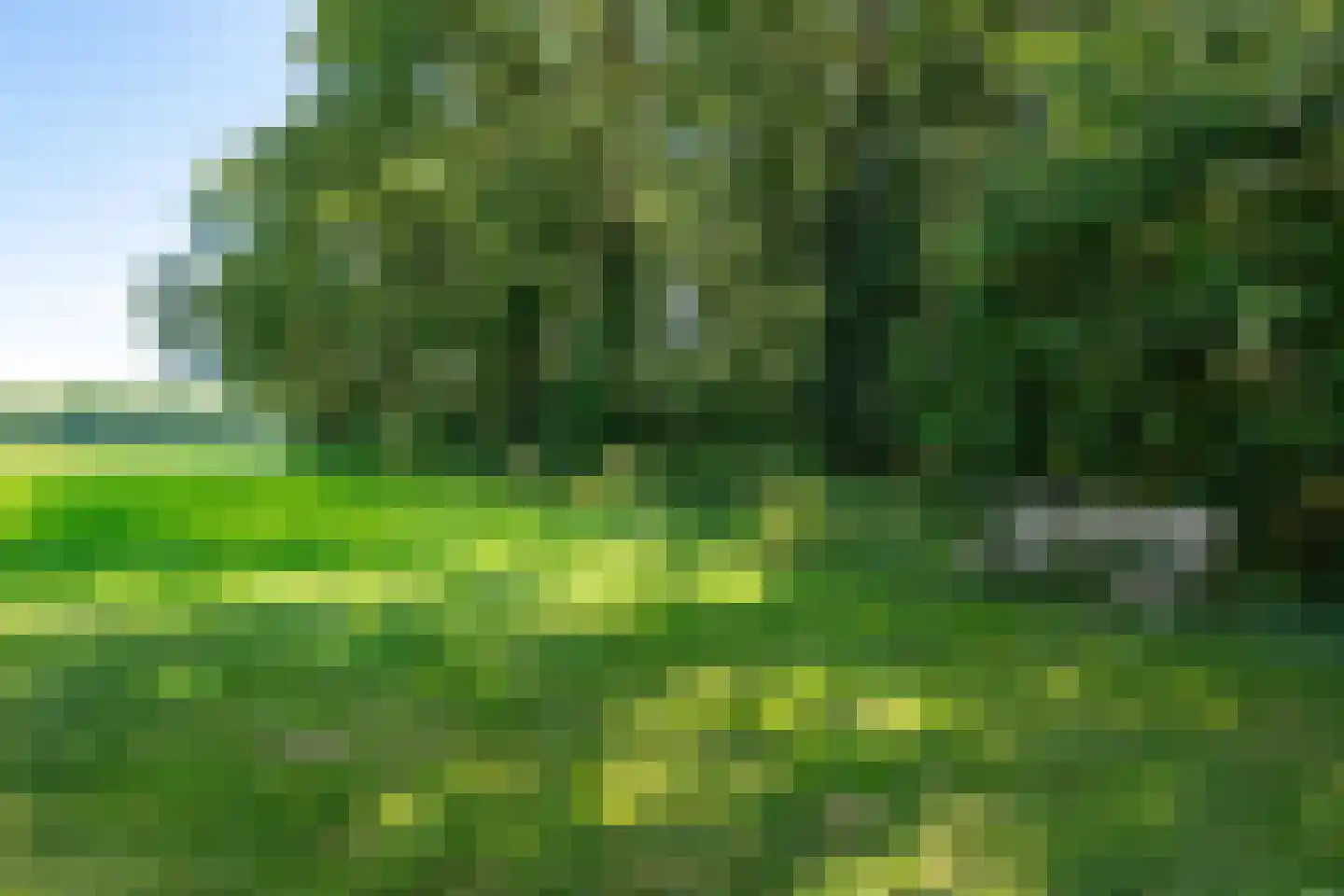 Bergakkers 10 Oosterhesselen thumbnail 39