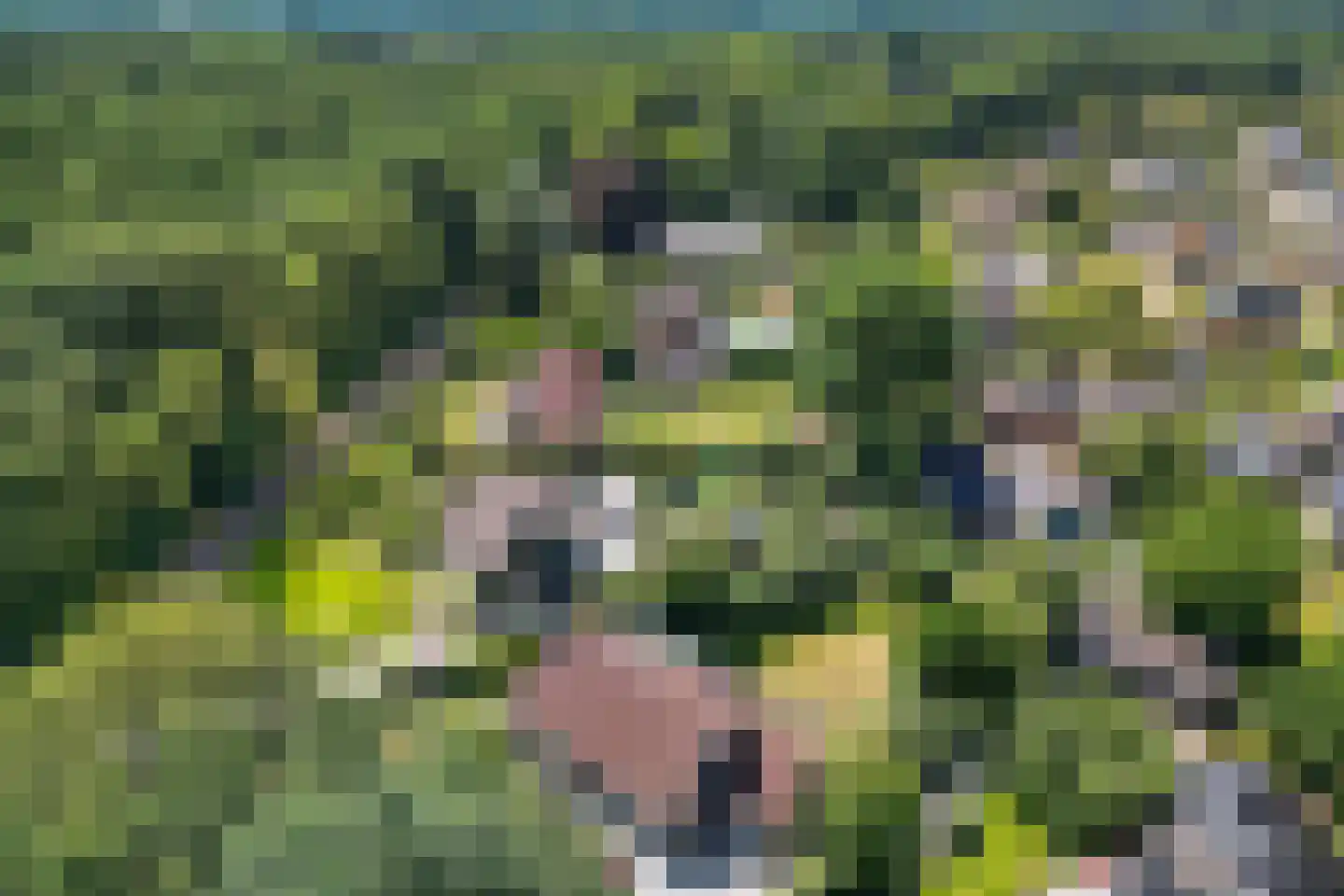 Bergakkers 10 Oosterhesselen thumbnail 44