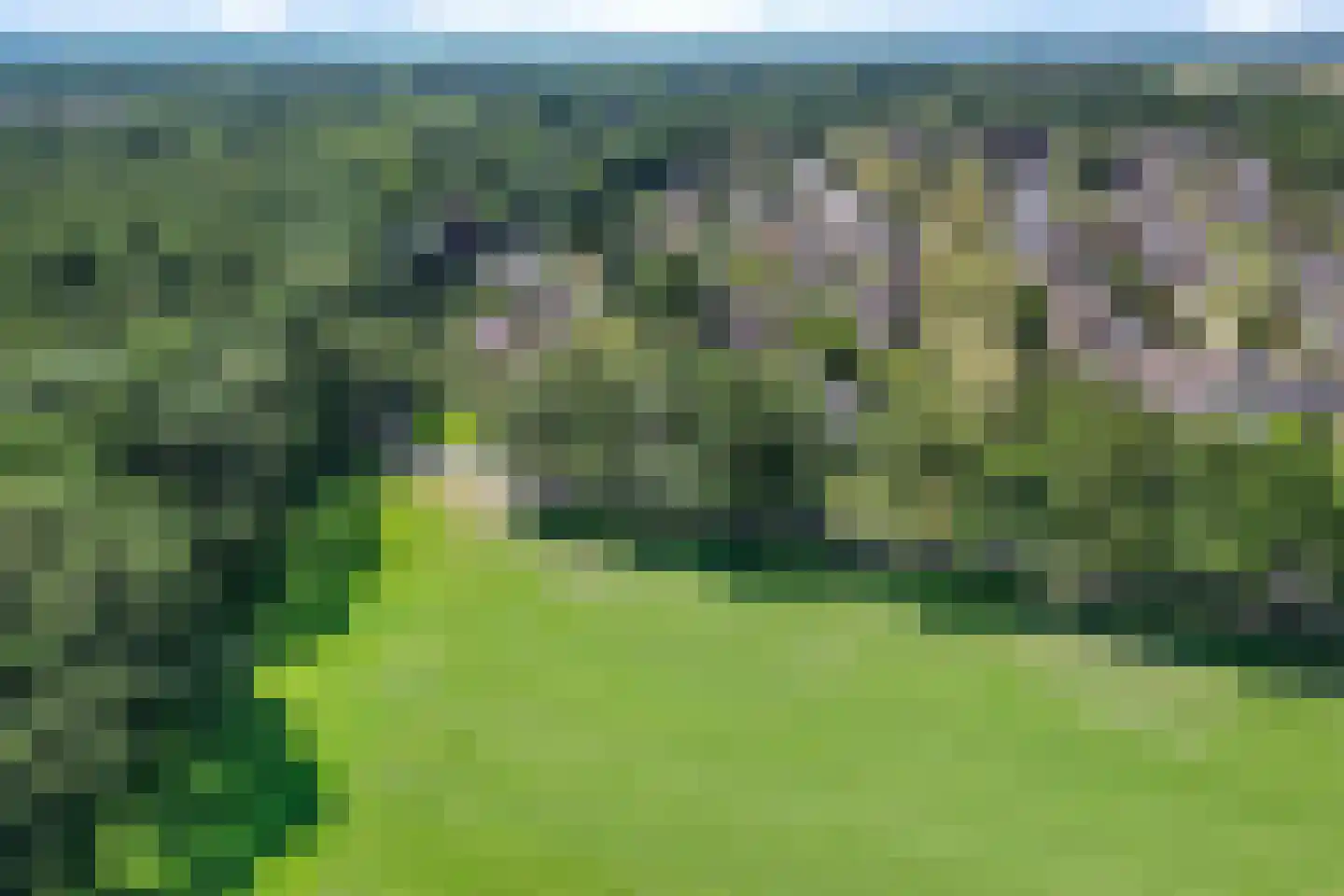 Bergakkers 10 Oosterhesselen thumbnail 46