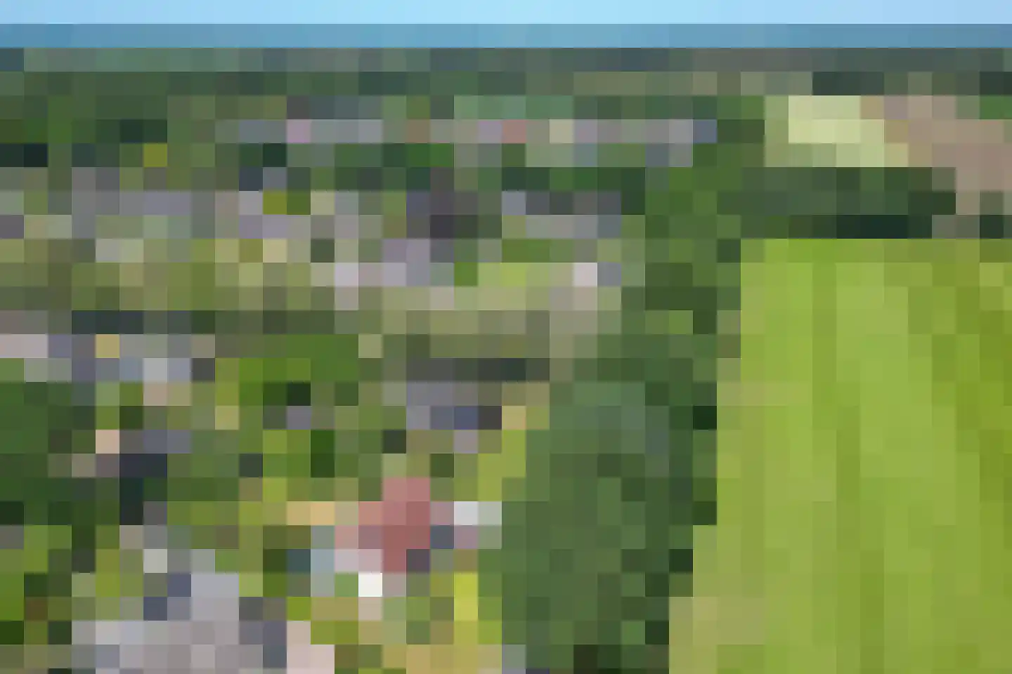 Bergakkers 10 Oosterhesselen thumbnail 47