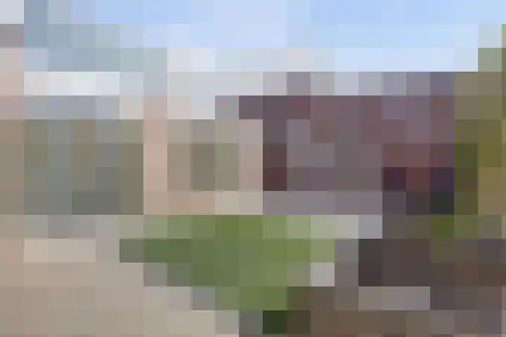 Bergakkerweg 1 a Nunspeet thumbnail 36