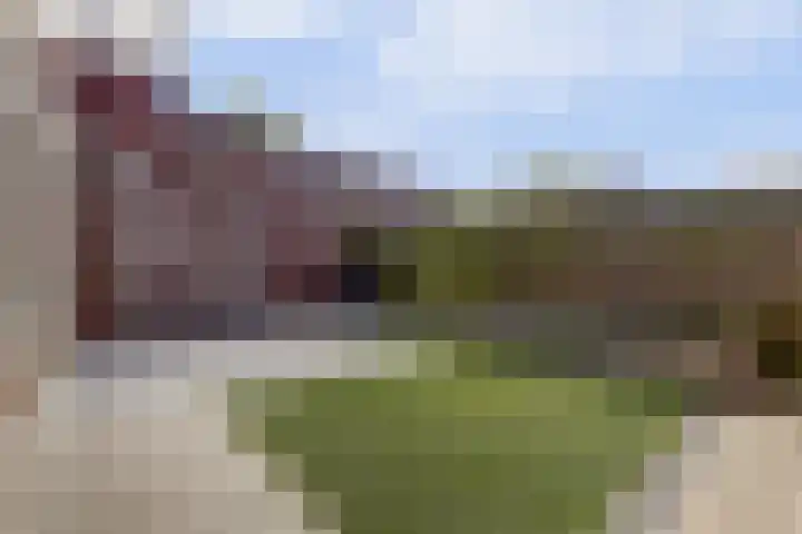 Bergakkerweg 1 a Nunspeet thumbnail 37