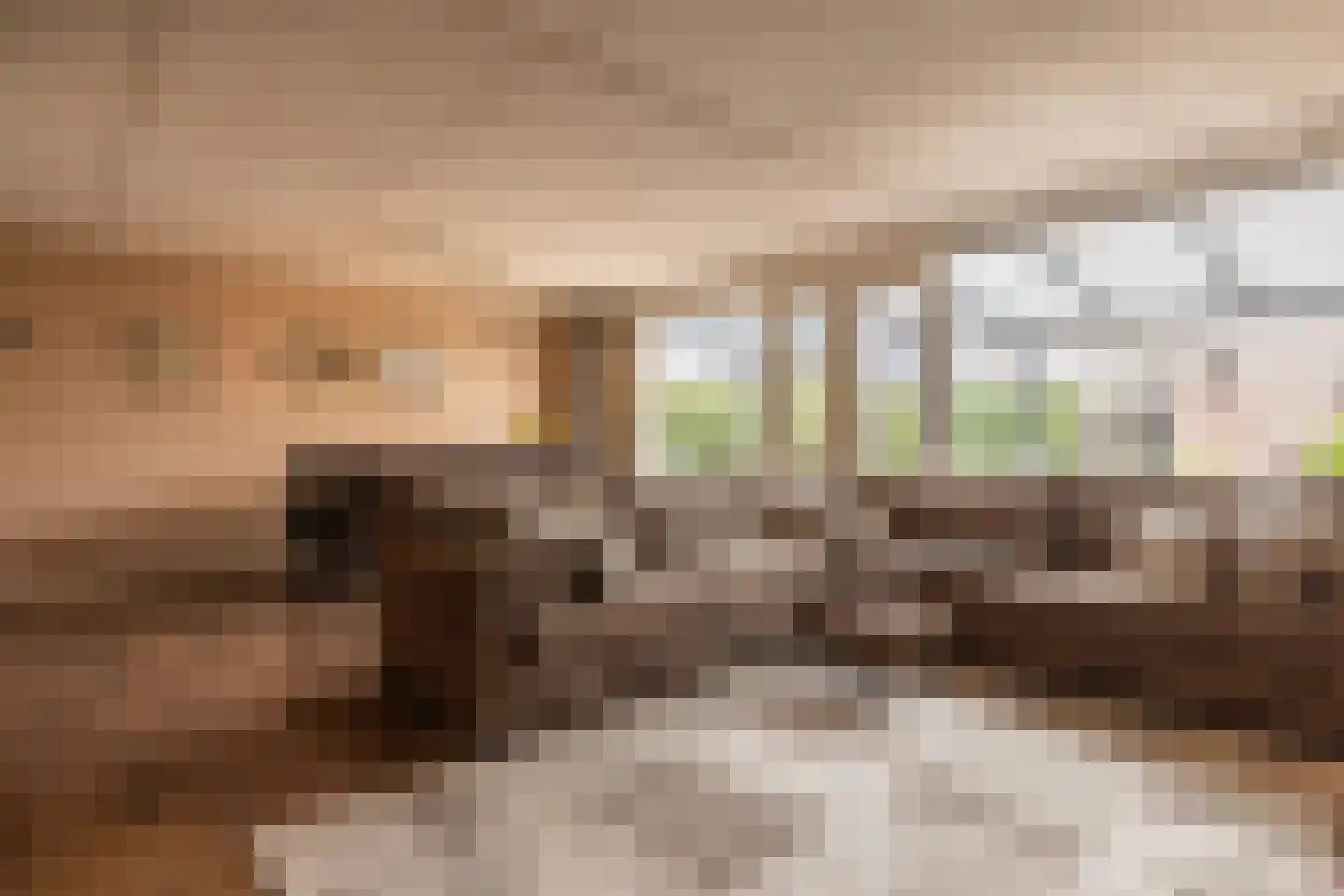 Bergamotte 3 Arnhem thumbnail 13