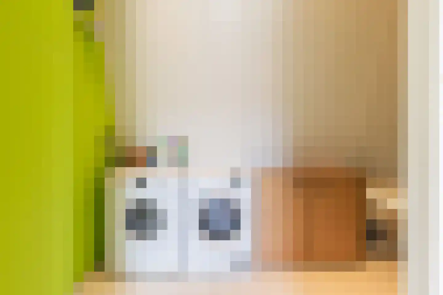 Bergamotte 3 Arnhem thumbnail 30