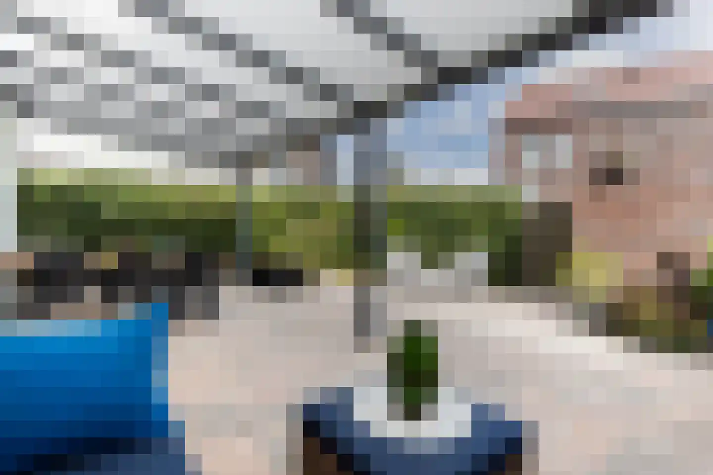 Bergamotte 3 Arnhem thumbnail 39