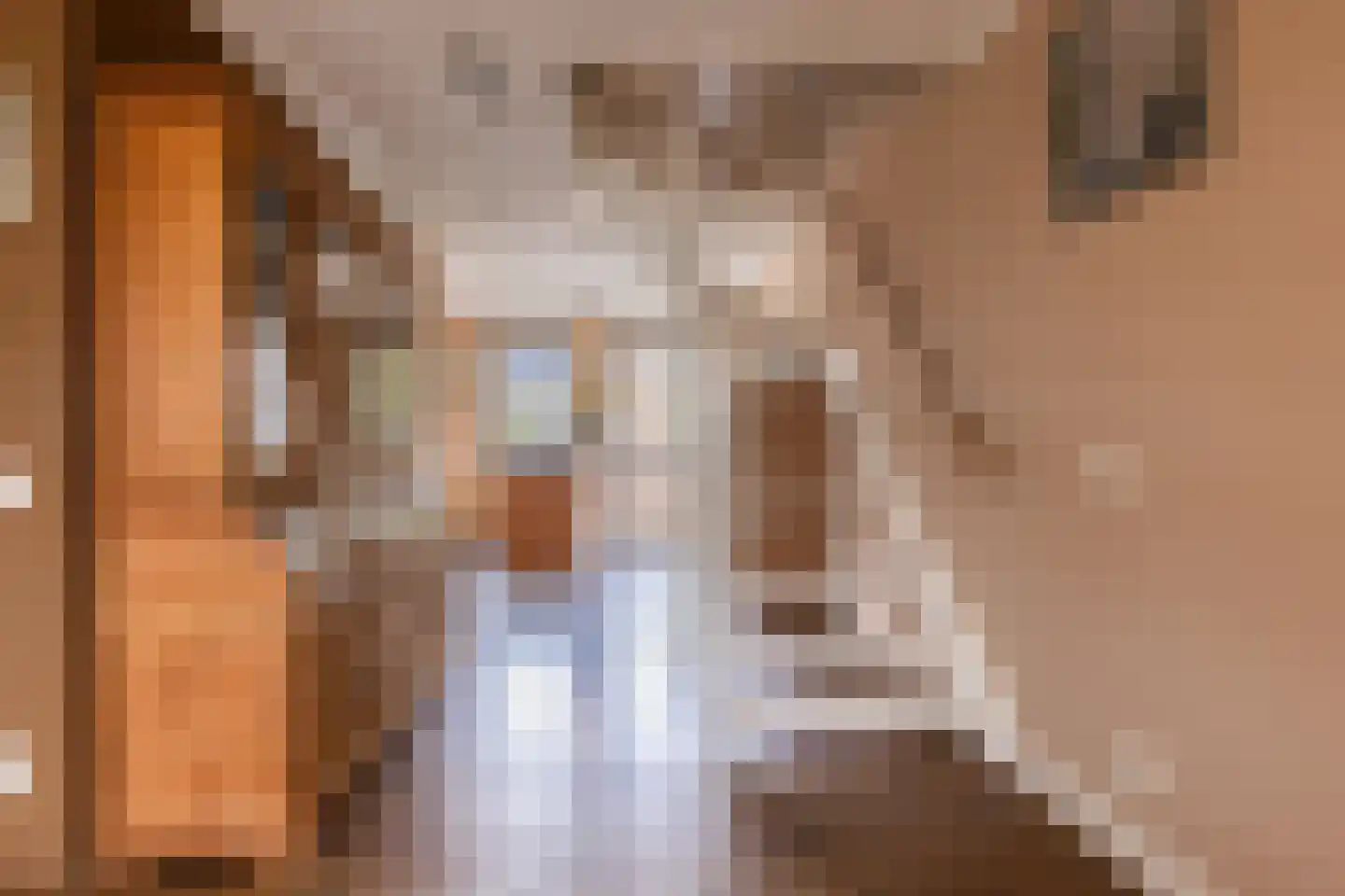 Bergamotte 3 Arnhem thumbnail 7