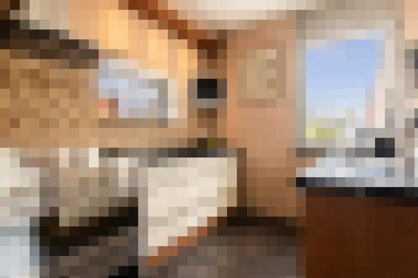 Bergamotte 3 Arnhem thumbnail 9