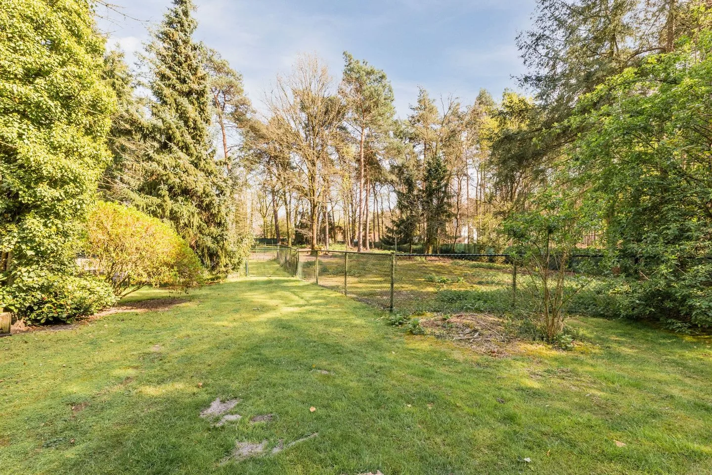 Bergbosweg 11 Budel thumbnail 35