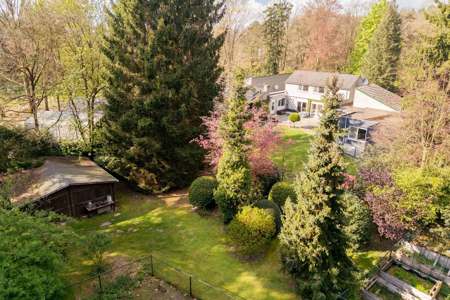 Bergbosweg 11 Budel thumbnail 51