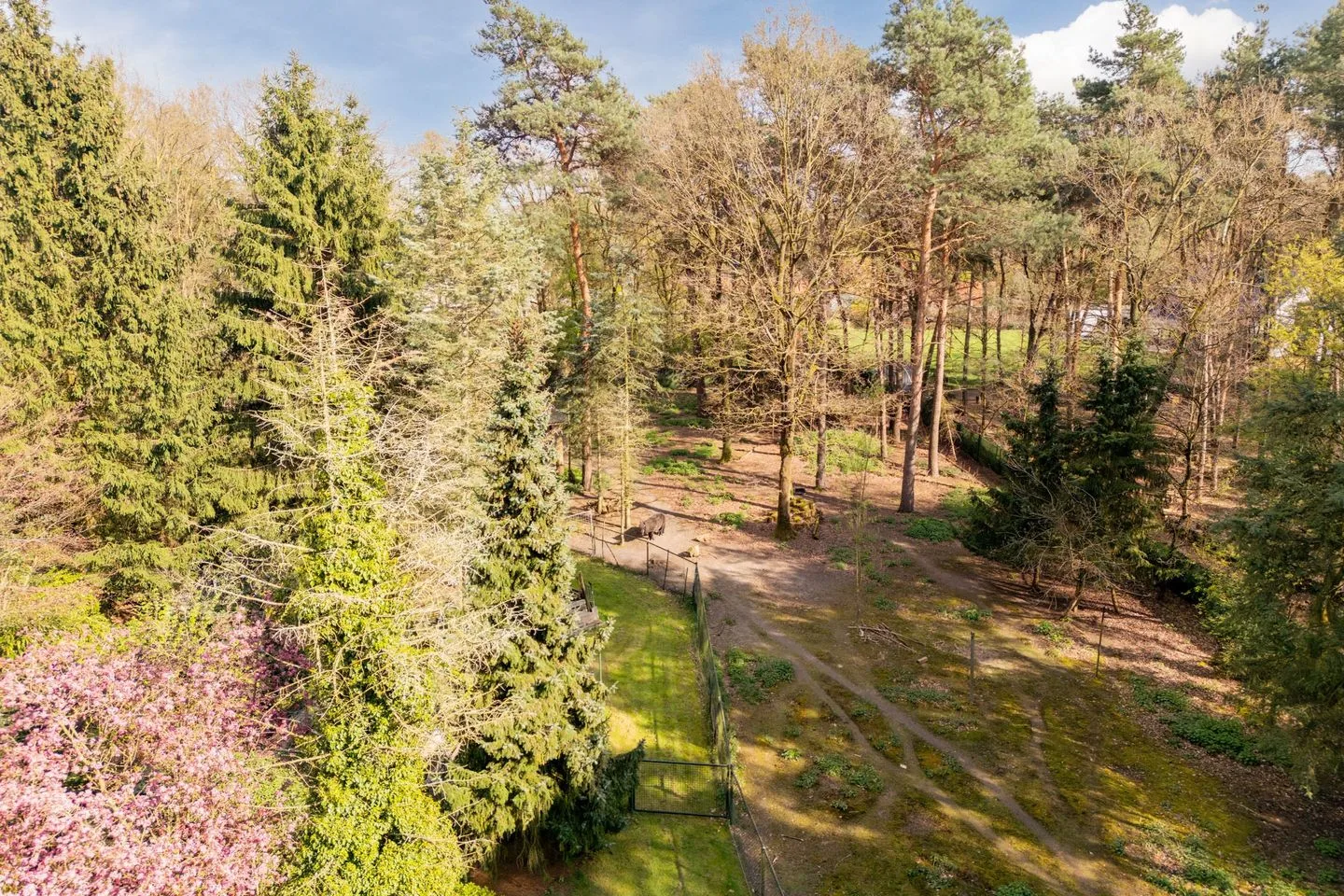 Bergbosweg 11 Budel thumbnail 53