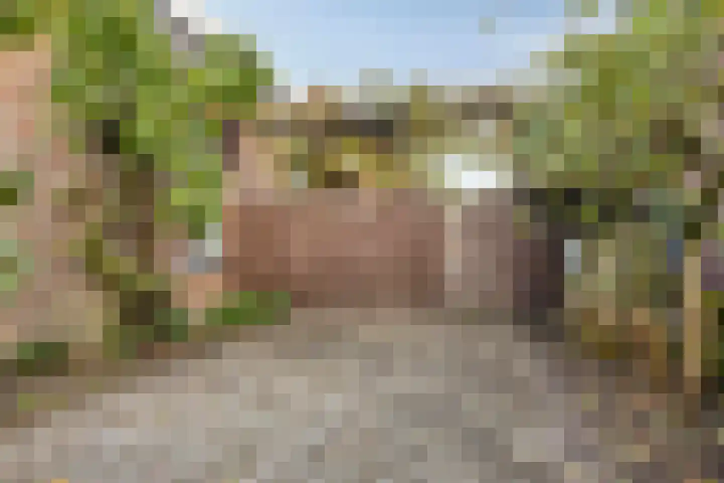 Bergdijk 36 a Asten thumbnail 10