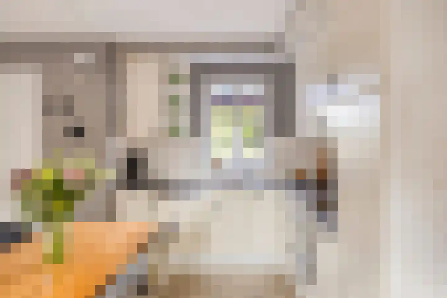 Bergdijk 36 a Asten thumbnail 4