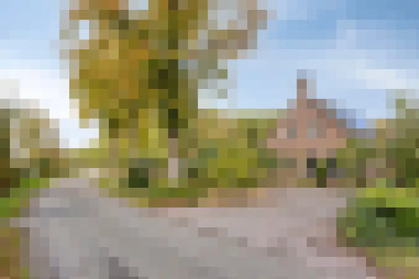 Bergdijk 36 a Asten thumbnail 7