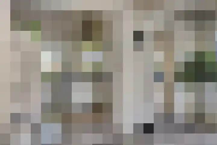 Bergdijk 7 Asten thumbnail 14