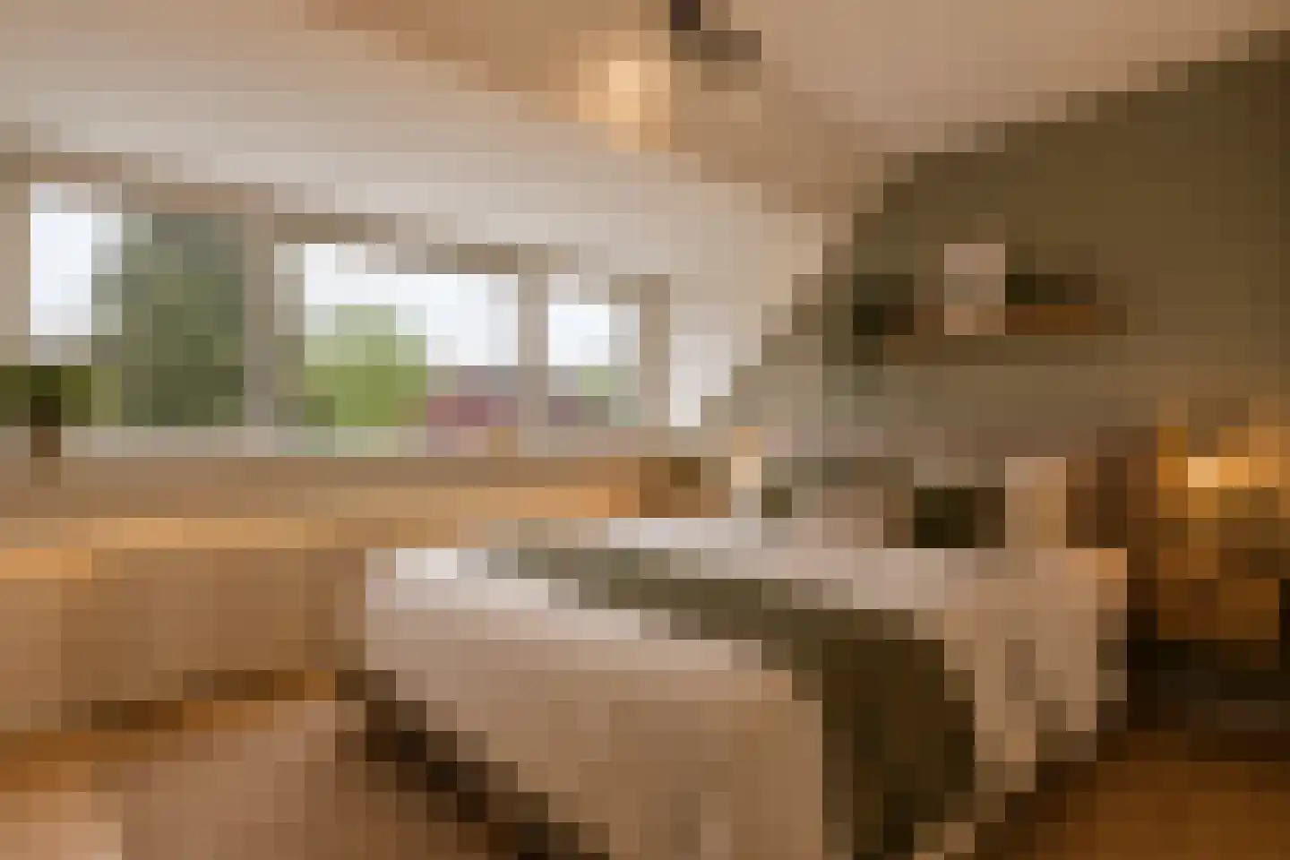 Bergdreef 110 Breda thumbnail 16