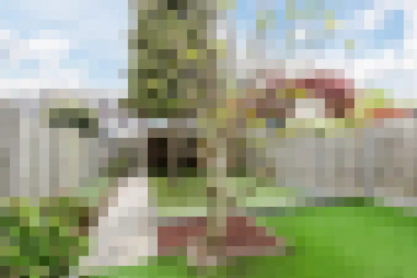 Bergdreef 110 Breda thumbnail 22