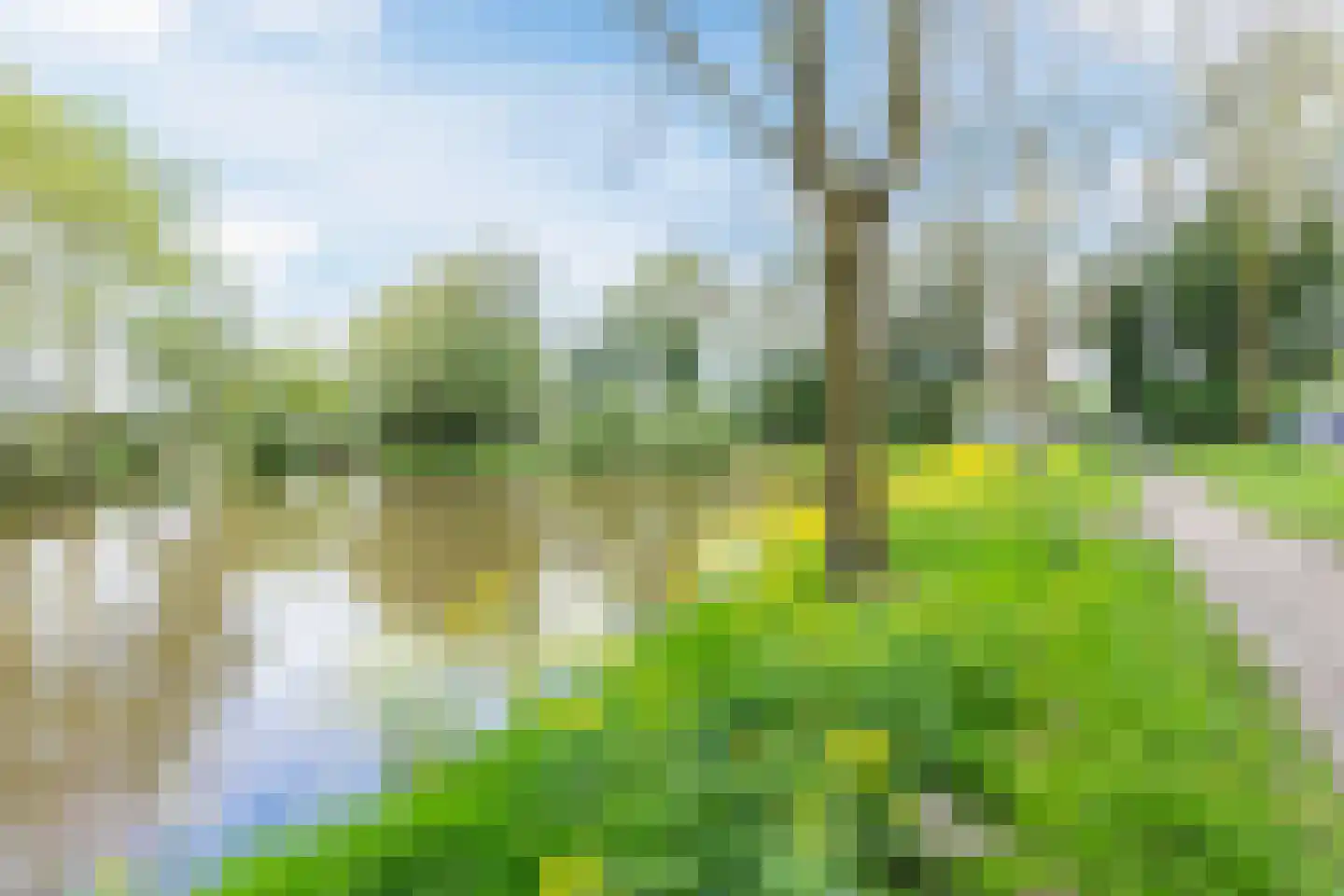 Bergdreef 110 Breda thumbnail 28