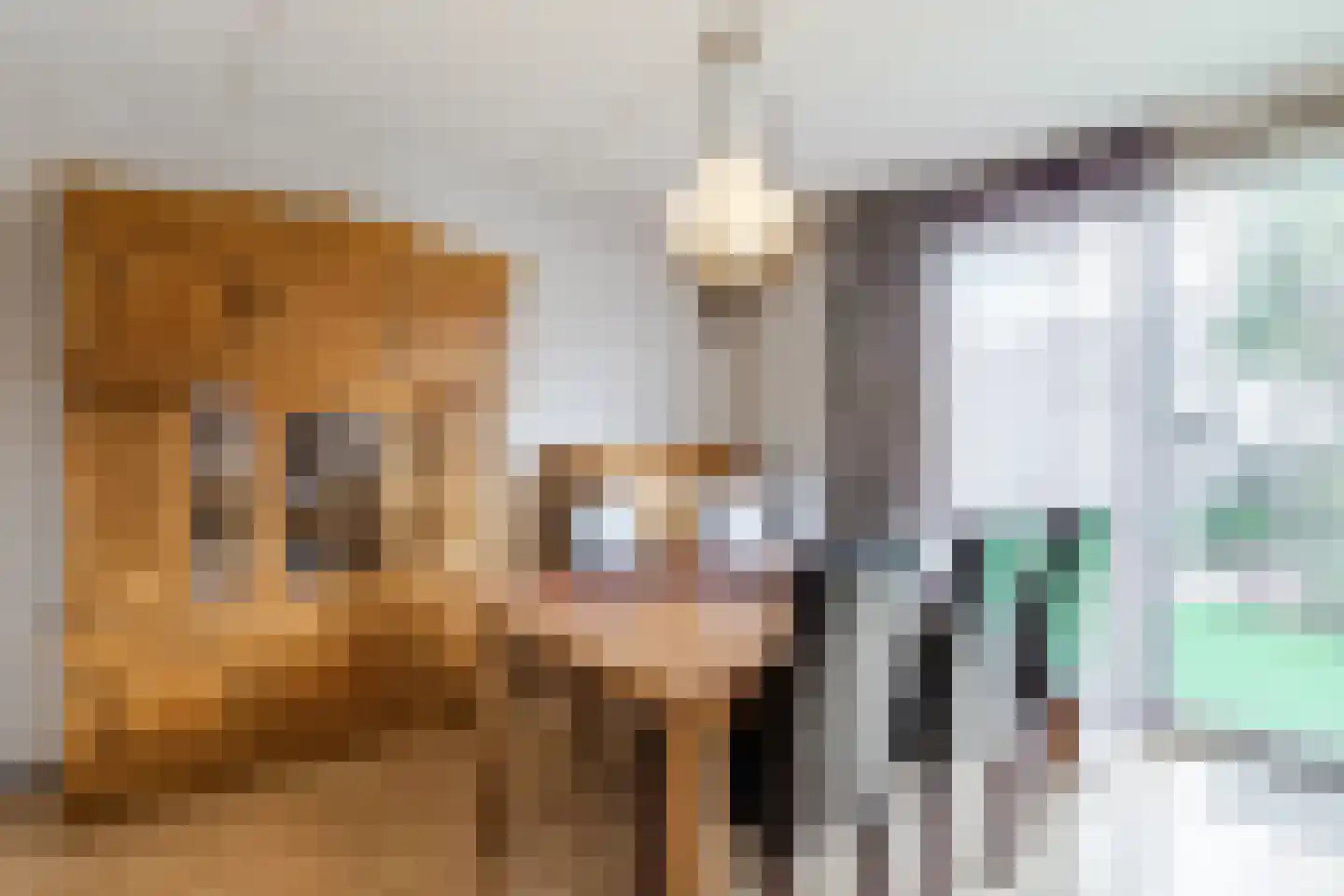 Bergdreef 110 Breda thumbnail 8