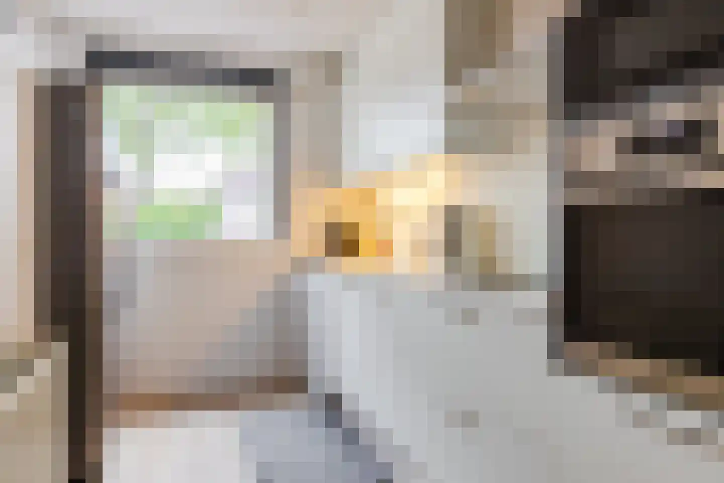 Bergdreef 110 Breda thumbnail 9