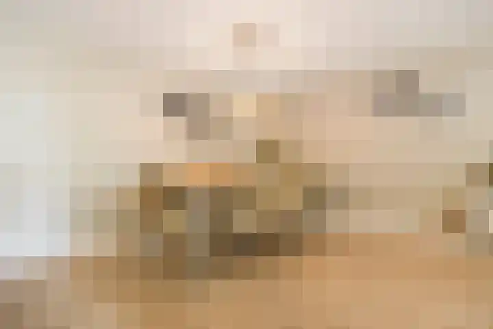 Bergdreef 125 Breda thumbnail 10