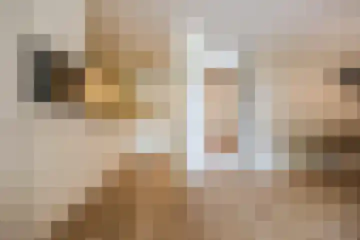 Bergdreef 125 Breda thumbnail 14