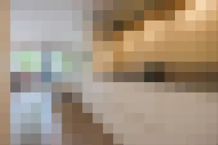Bergdreef 125 Breda thumbnail 15