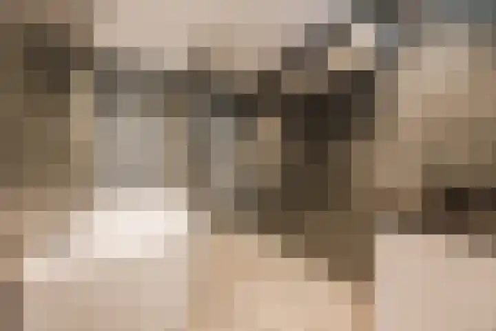 Bergdreef 125 Breda thumbnail 21