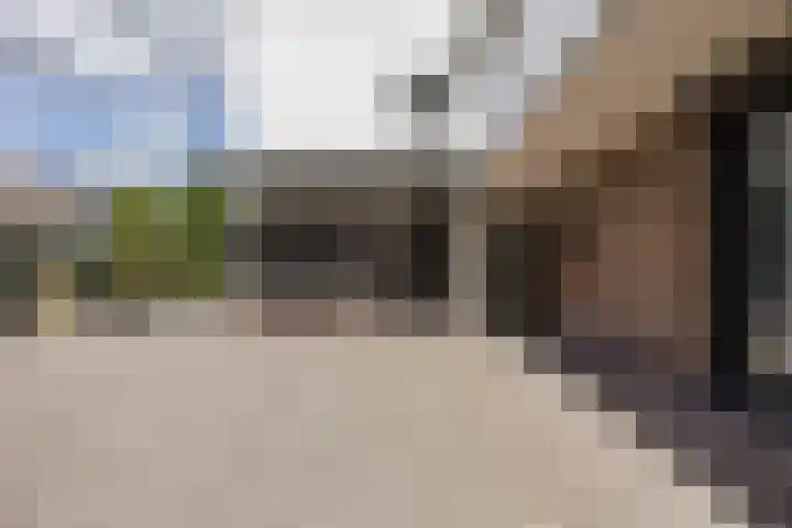 Bergdreef 125 Breda thumbnail 34