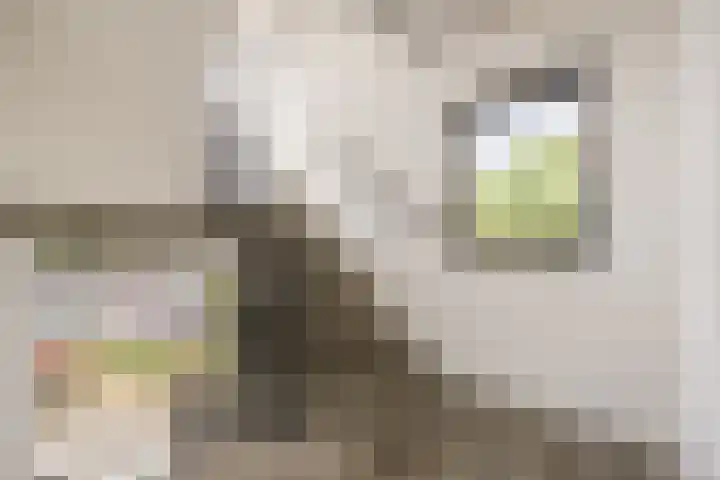 Bergdreef 125 Breda thumbnail 37