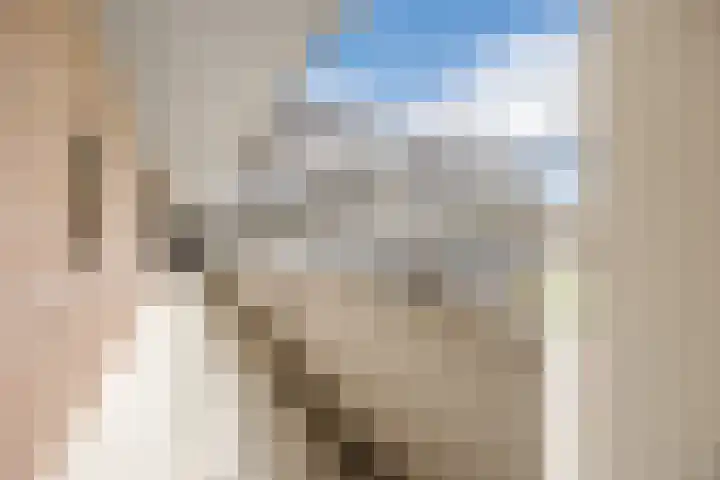 Bergdreef 125 Breda thumbnail 38