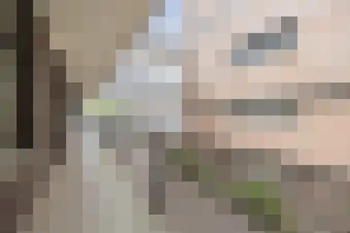 Bergdreef 125 Breda thumbnail 39