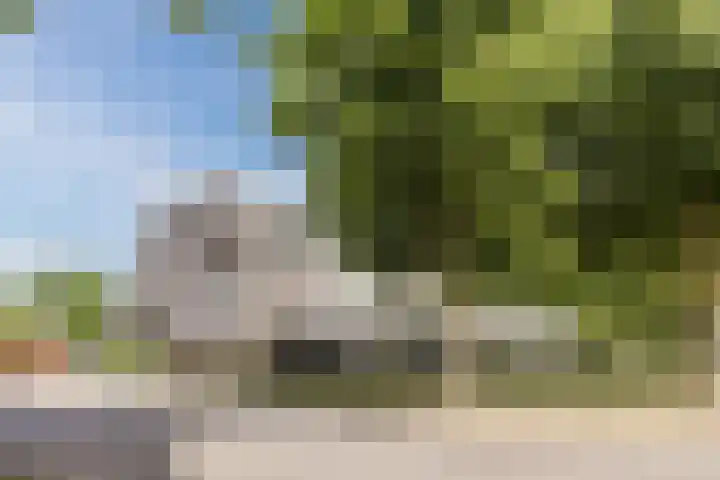 Bergdreef 125 Breda thumbnail 40