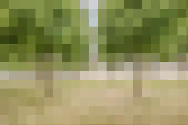 Bergdreef 125 Breda thumbnail 41
