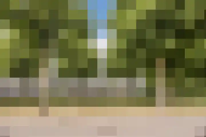Bergdreef 125 Breda thumbnail 42