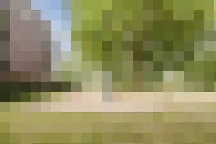 Bergdreef 125 Breda thumbnail 43