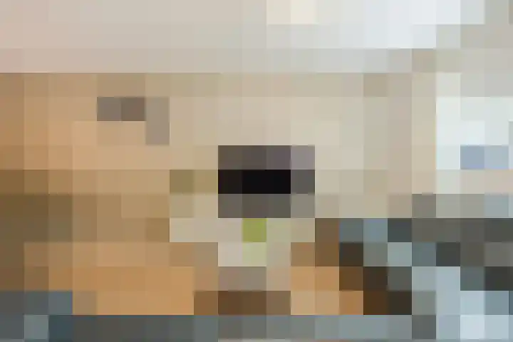 Bergdreef 125 Breda thumbnail 8
