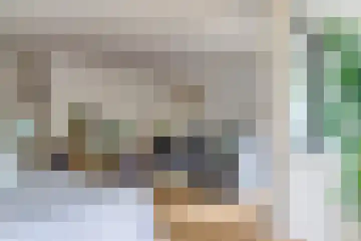 Bergdreef 151 Breda thumbnail 12