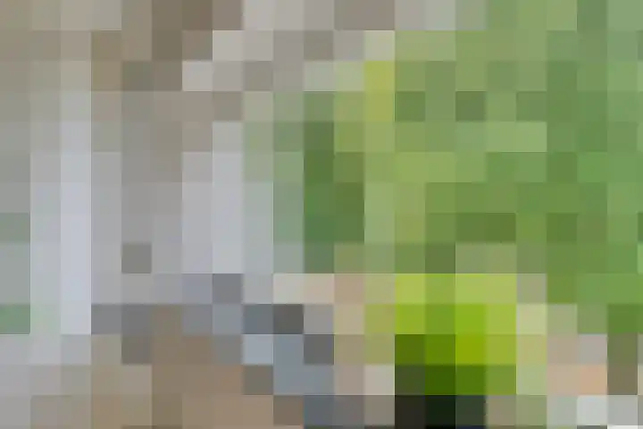 Bergdreef 151 Breda thumbnail 16