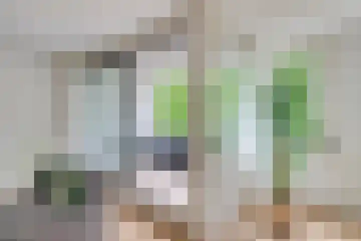 Bergdreef 151 Breda thumbnail 17