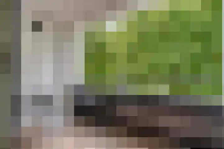 Bergdreef 151 Breda thumbnail 18