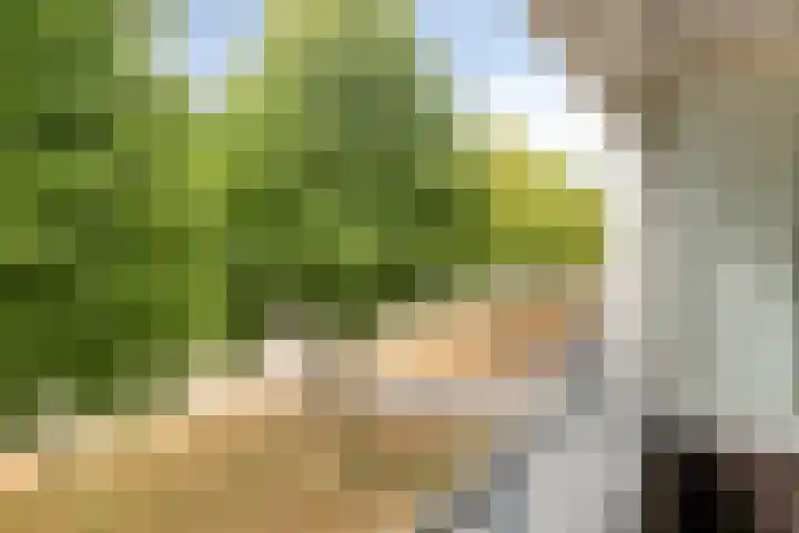 Bergdreef 151 Breda thumbnail 19