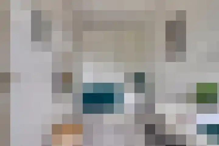 Bergdreef 151 Breda thumbnail 22