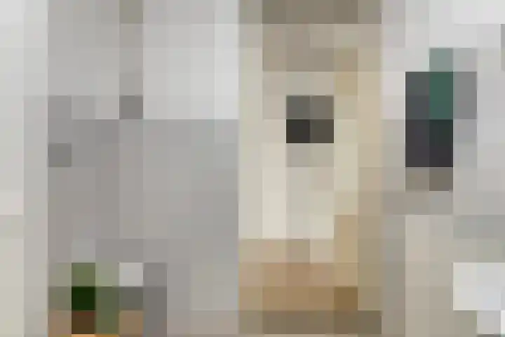 Bergdreef 151 Breda thumbnail 26